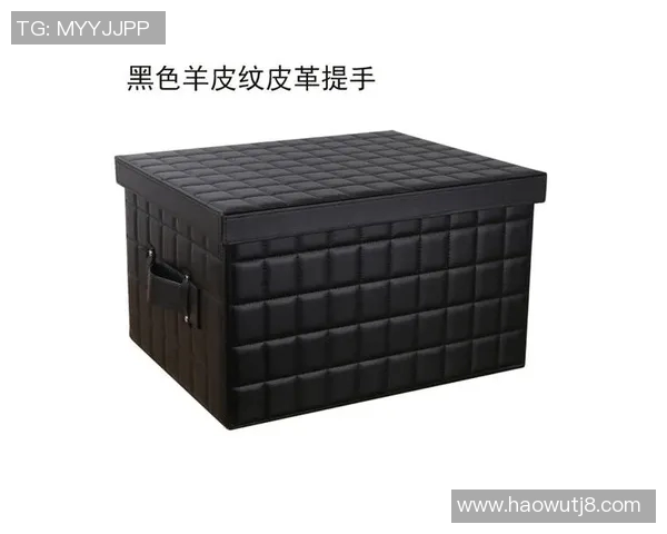 收纳箱篮球明星的完美组合助你轻松整理运动装备与生活空间